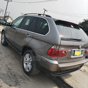 BMW X5 4.4i Steptronic 2006 Brown