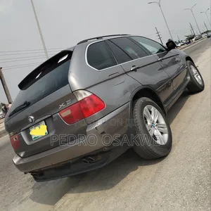 BMW X5 4.4i Steptronic 2006 Brown