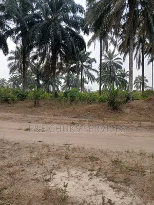 1000 Plots of Lands for Sale in Abia State