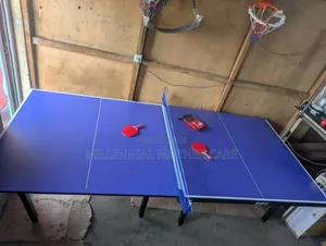 Giant Outdoor Table Tennis