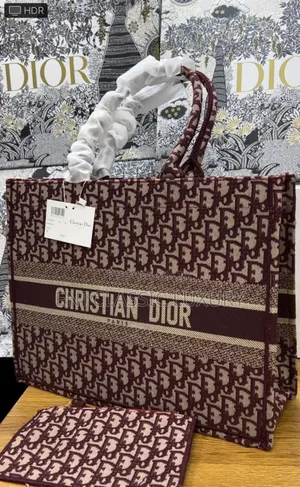 Christian Dior Luxury Bags For Women Available In Store