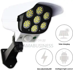 Solar Powered Sports Spotlight