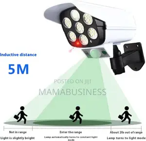 Solar Powered Sports Spotlight