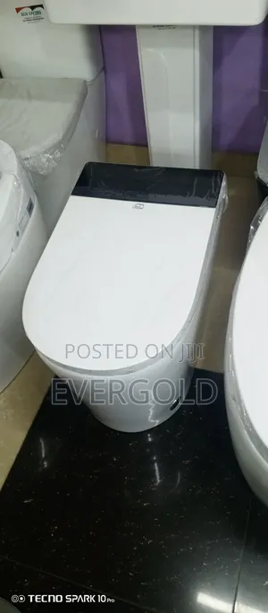 Smart Water Closet