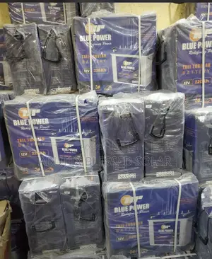 220ah12v Blue Power Buindian Tubular Battery