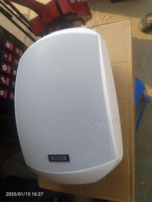 Pair Of Boom Wall Mounting Speaker.