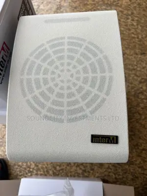 Unit Of Inter'm Wall Hanging Speaker