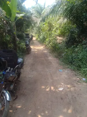 Land for Sale in Ibadan With Red Copy Survey Very Cheaper