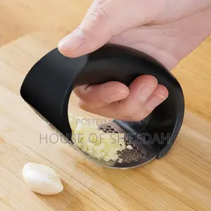 Stainless Steel Manual Garlic Press