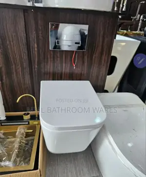 Wall Hung Toilet Seats With Concealed Tank