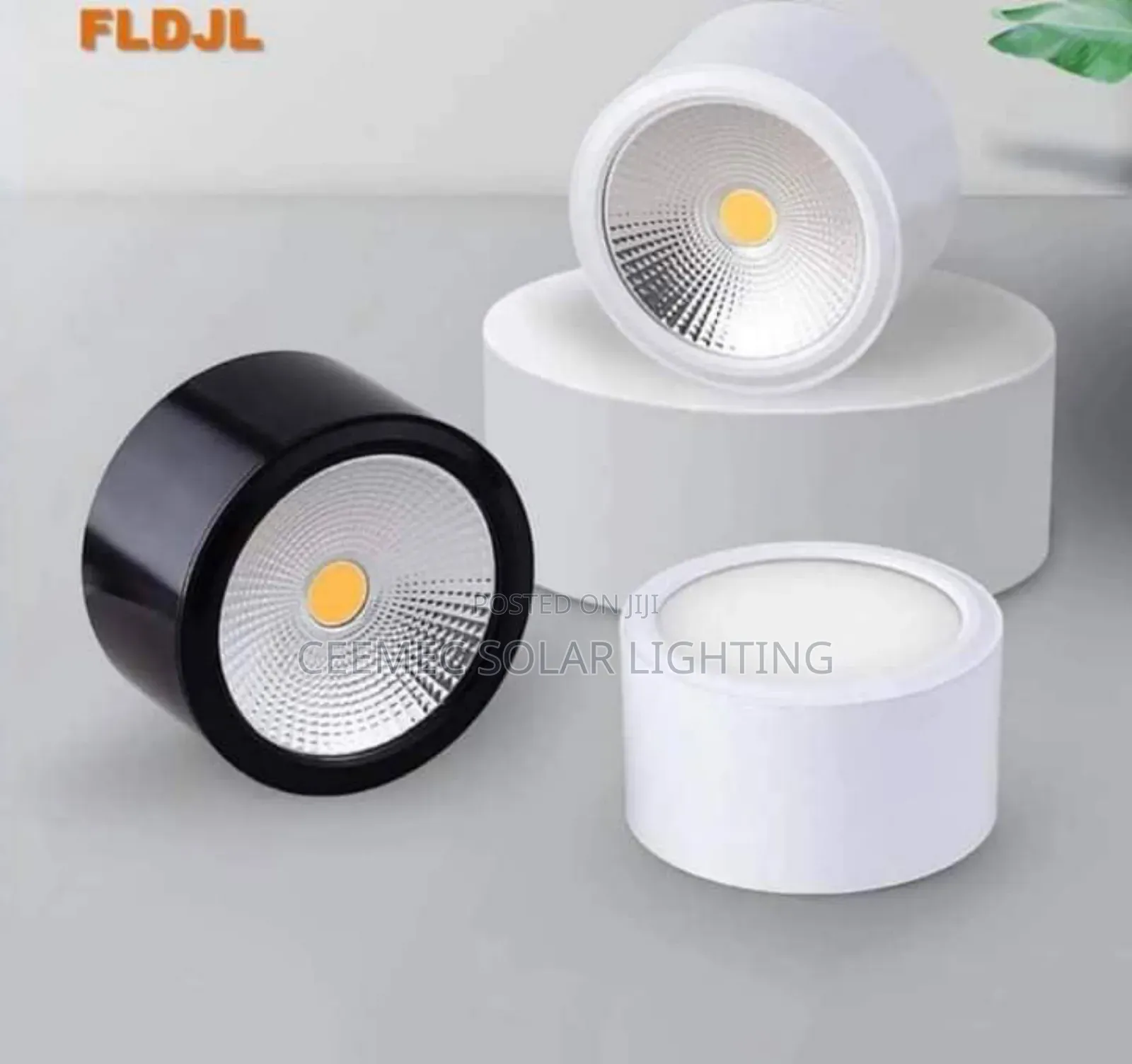 Extra Bright Parapet Light With Double Colour 10W