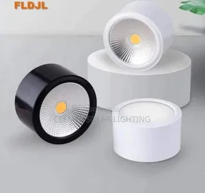 Extra Bright Parapet Light With Double Colour 10W