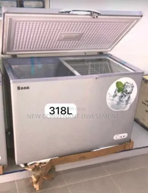 Original Bona Solar Freezer Work With Panel and Battery 350L
