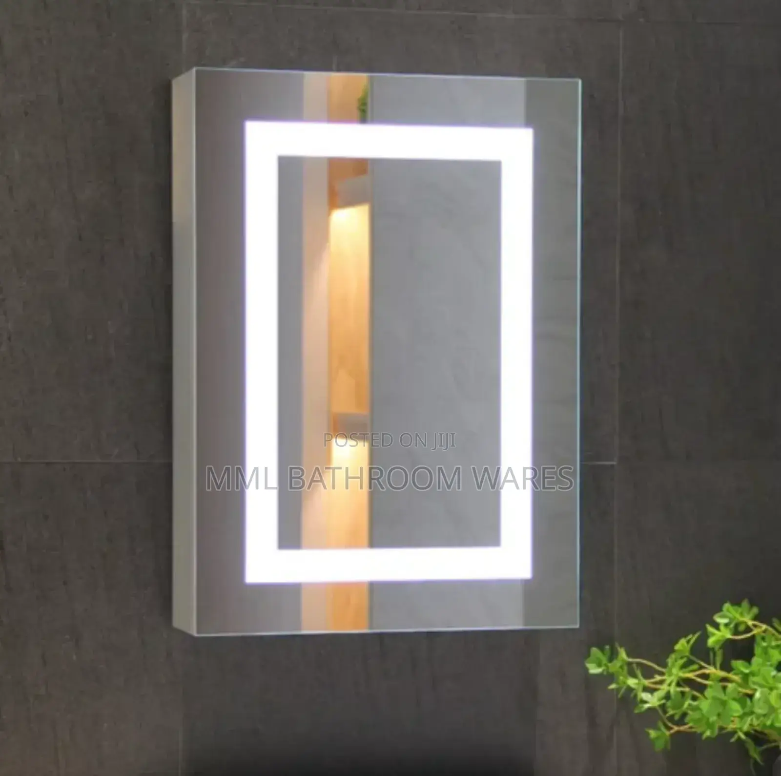 Modern Luxury Led Mirror Cabinets