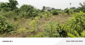 Landed Property