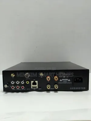 Arylic A100