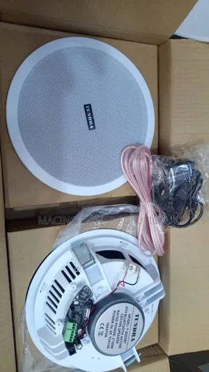 Ceiling Bluetooth Speaker