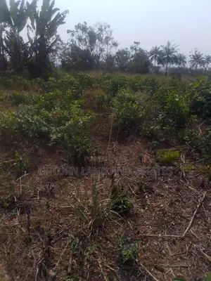 400 Acres of Land for Sale at Ibeju Lekki at Cheaper Price