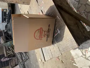 Plain Neat Form Cartons