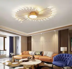 Modern Ceiling Light LED Chandelier Firework Shape Luster