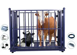 Steel 3 Tons Cattle Scale Floor Scale for Weighing Animals
