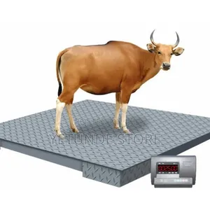 Animal Floor Cattle Weighing Scale