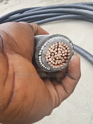 500mm Single Armored Cable..