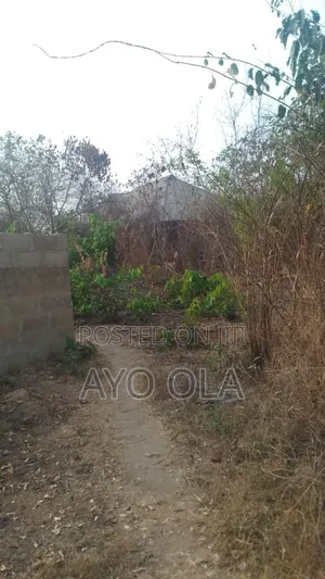 6 Plot of Land for Sale at Isuada