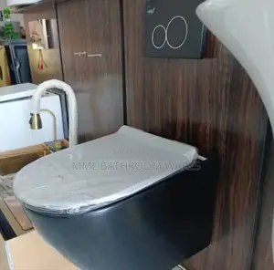 Black Wall Hung Toilet Water Closet