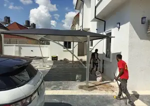 2cars Canopy Butterfly