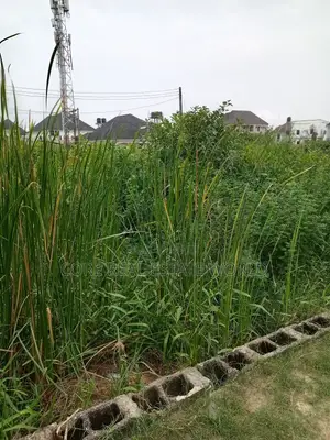 Buy and Build Land at Akodo Lagos State