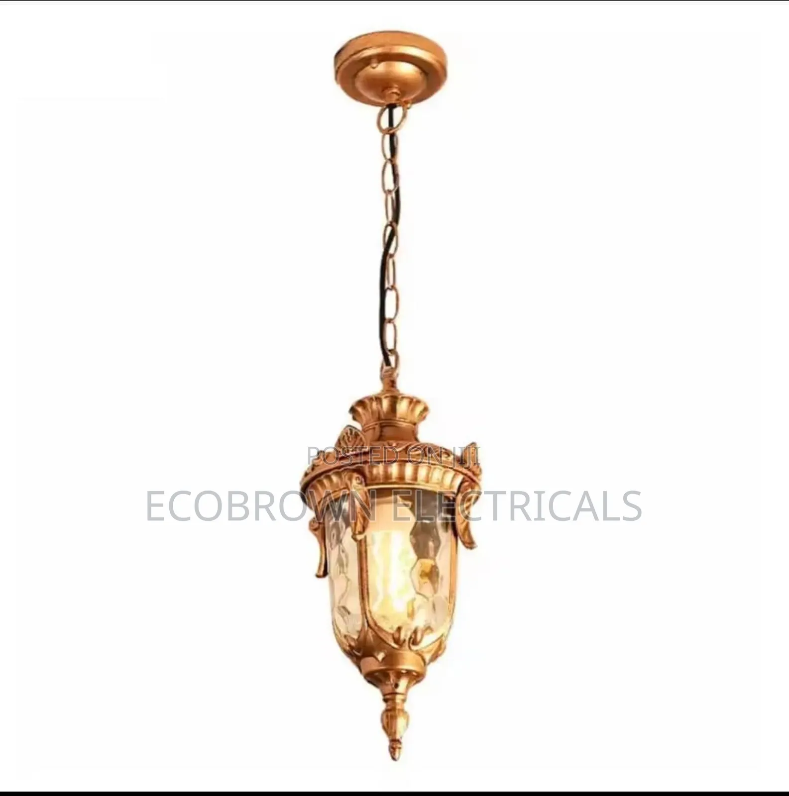 Outdoor Dropping Lamps Light