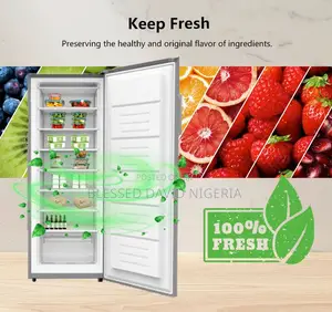 Skyrun 185l Upright / Standing Freezer - Bdl-185h