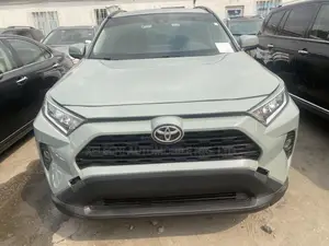 Toyota RAV4 XLE AWD 2019 Gray