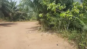Agriculture and Farm Land for Sale in Ogun State ,Nigeria