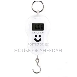 Handheld Mini Digital Portable Scale