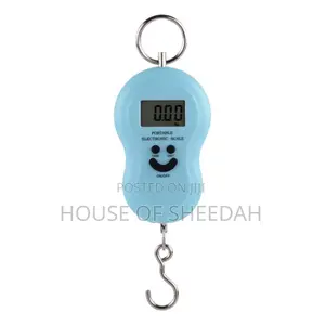 Handheld Mini Digital Portable Scale