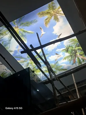 Stretch Ceiling