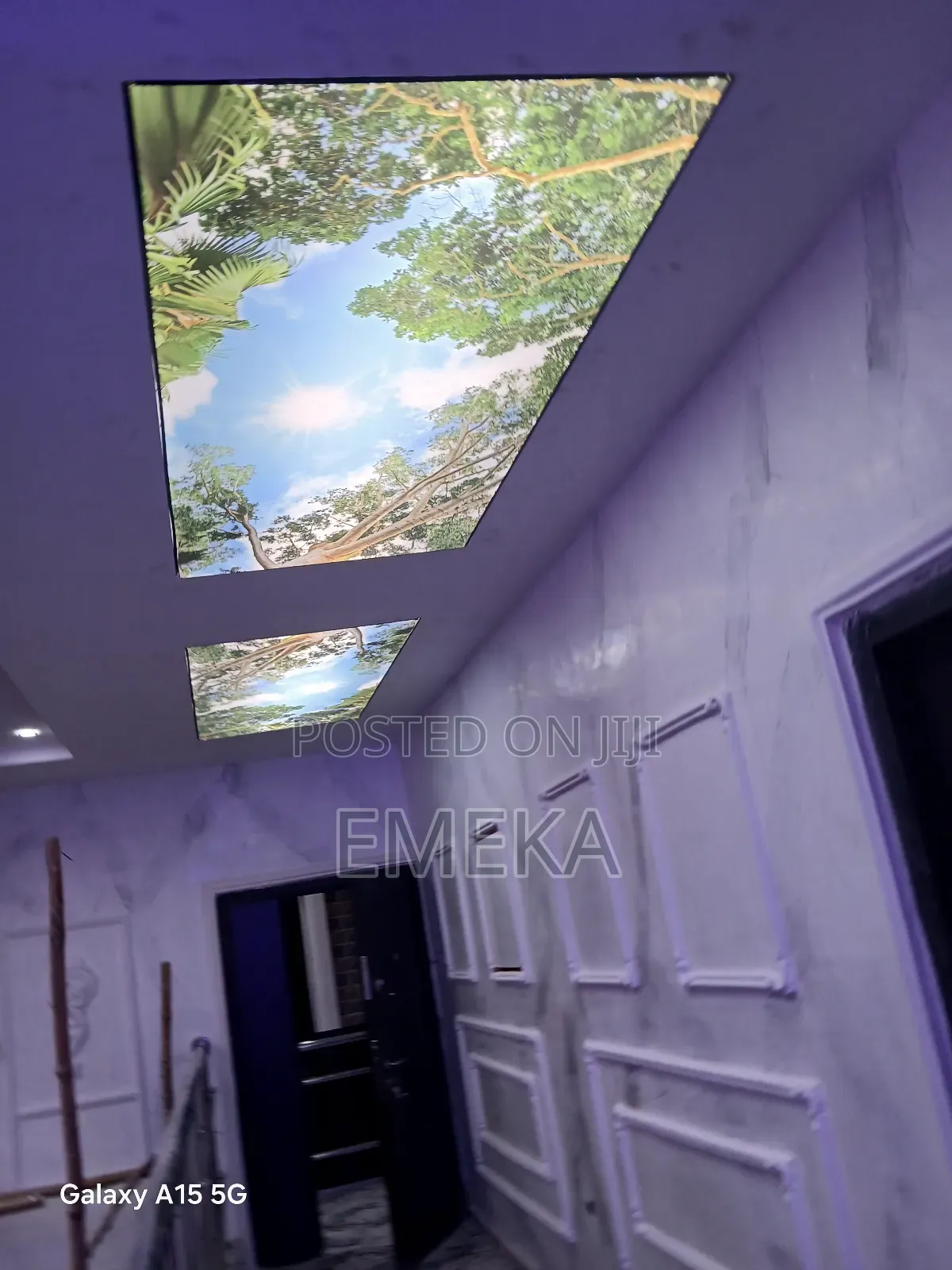 Sstretch Ceiling