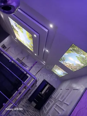 Sstretch Ceiling