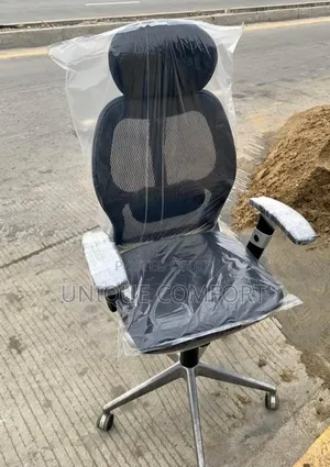 Imported Executive Ergonomic Office Chair With Head Rest
