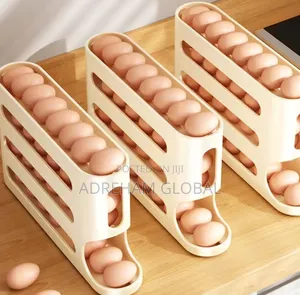4layer Egg Rack/Organiser