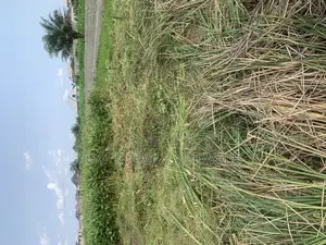 Full Plot of Land