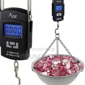 Digital Hanging Scale - 50kg