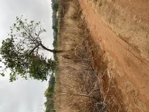 Available Plot of Land