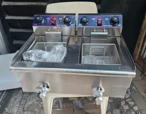 Electric Double Deep Fryer