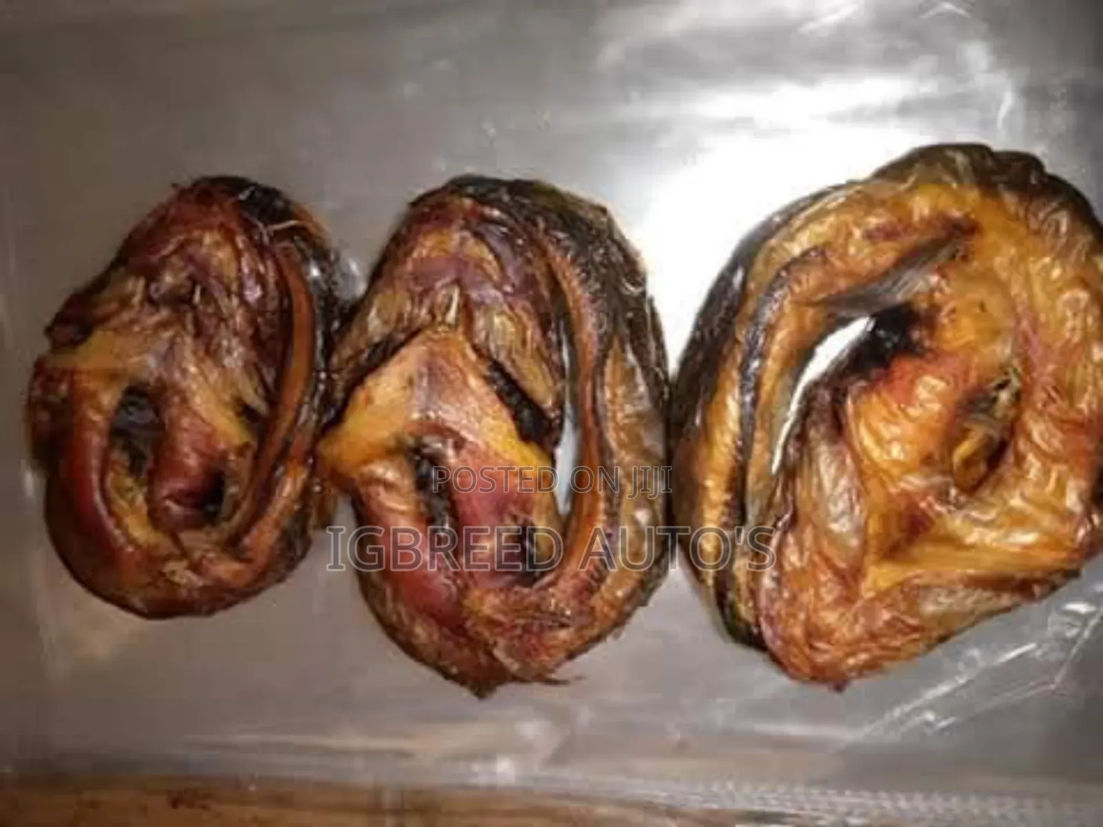 African Giant Snails