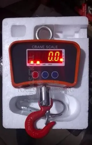 Crane Scale 500kg
