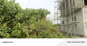 1 Plot of Land
