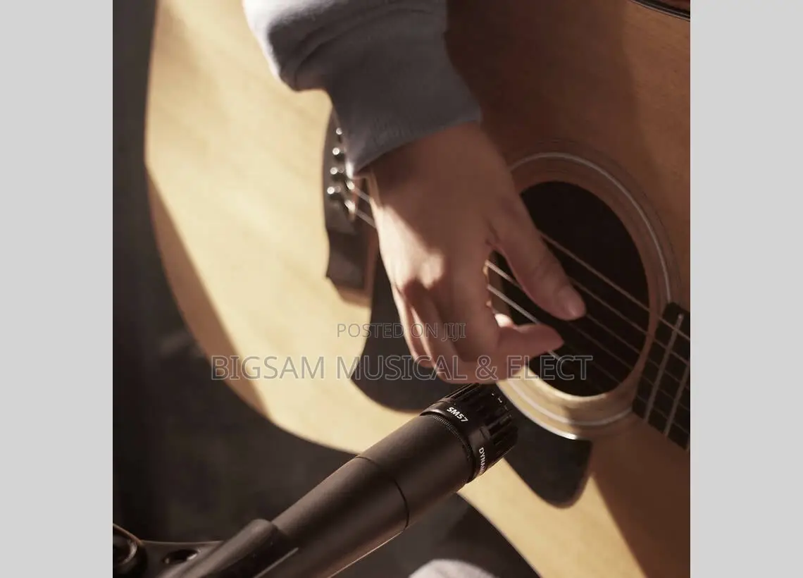 Sm57 Shure Microphone
